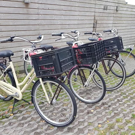 Boathouse With Bikes 住宿加早餐酒店 4*